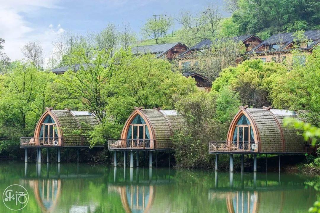 虫虫助手下载